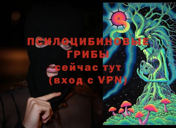 тгк Абаза