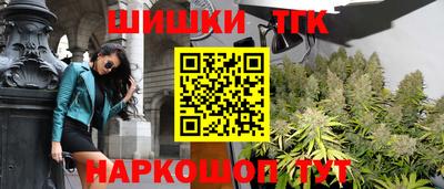 крисы Гай