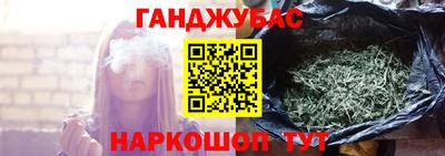 крисы Гай