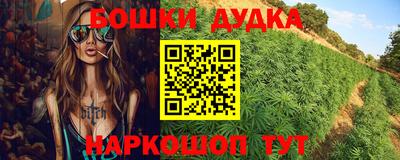 крисы Гай