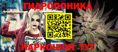 спайс Гагарин