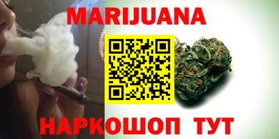 крисы Гай