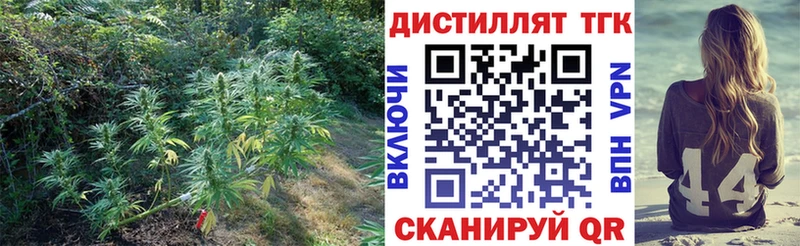 ТГК THC oil  где купить наркоту  Кызыл 