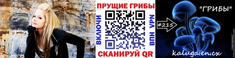 что такое наркотик  Кызыл  KRAKEN сайт  Псилоцибиновые грибы Psilocybine cubensis 