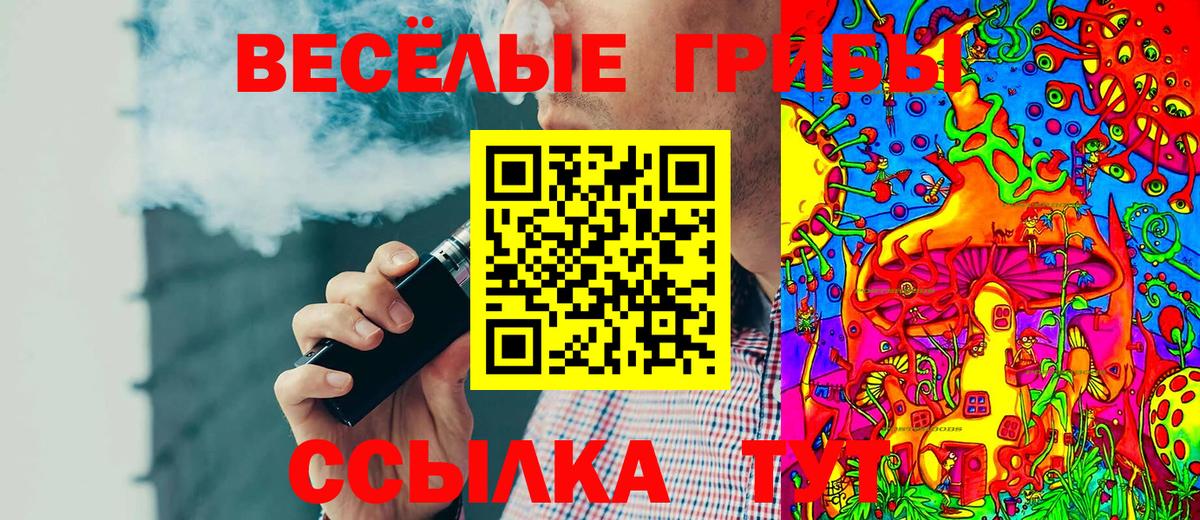 Кызыл  Псилоцибиновые грибы мухоморы  Вход с VPN 